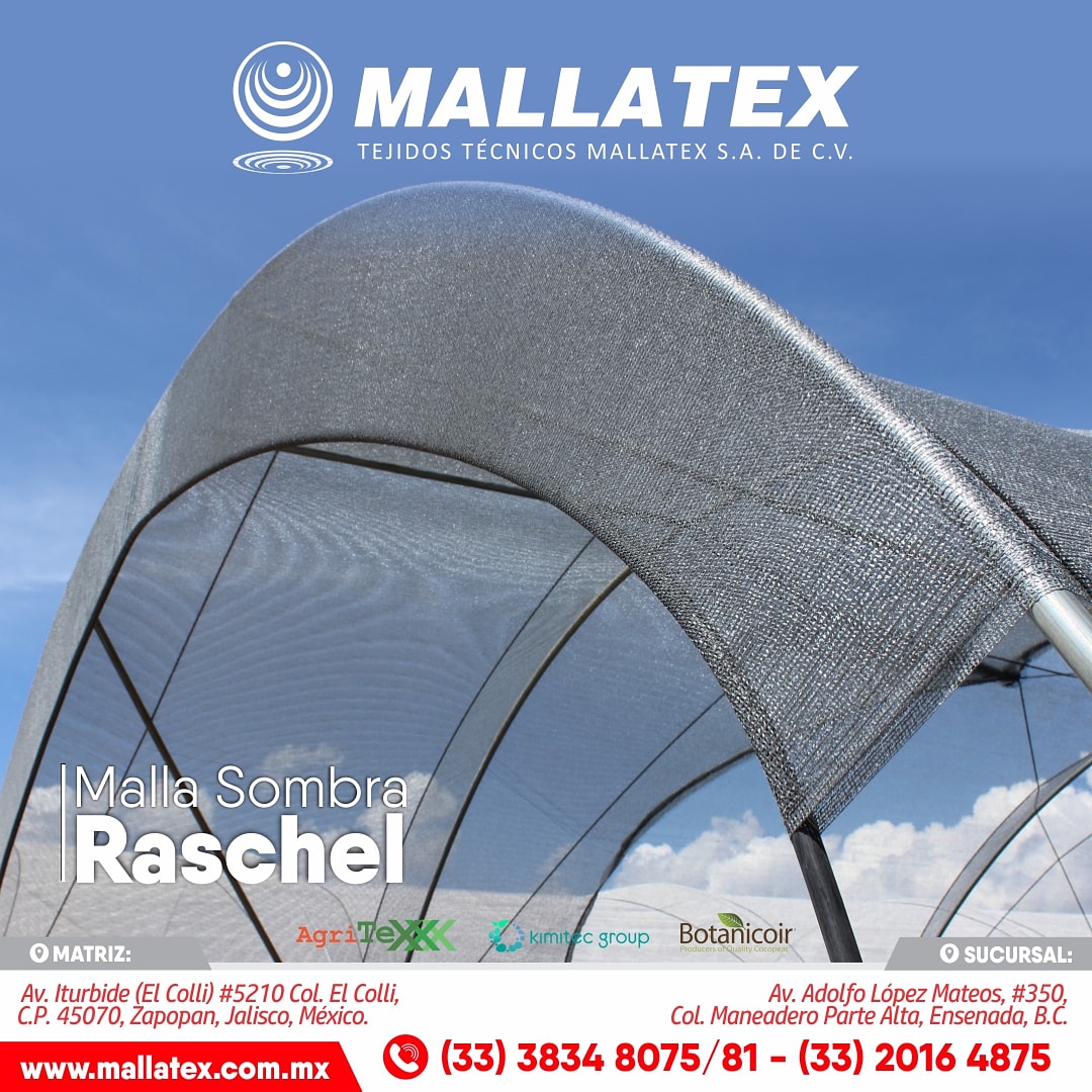 Mallatex's tweet photo. Con la #mallaRaschel protege a tus frutos del estrés calórico ☀️ que puede llegar a ocasionar los rayos del sol.

#ExpertosEnAgriculturaProtegida 
#Mallatex #MallaAntigranizo #mallasAgricolas #agronomia https://t.co/IqNPb9qXs9