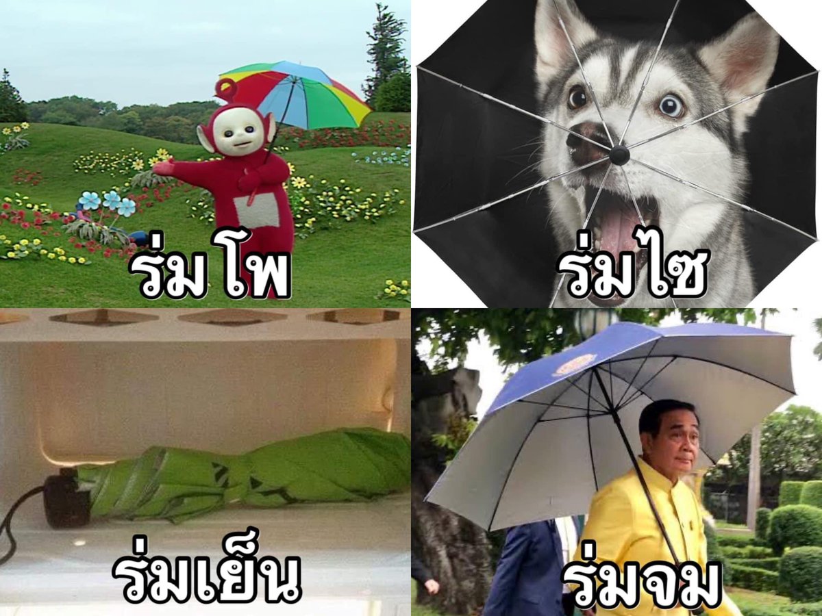 ไม่เชื่อครับ โม้🤗 tweet media
