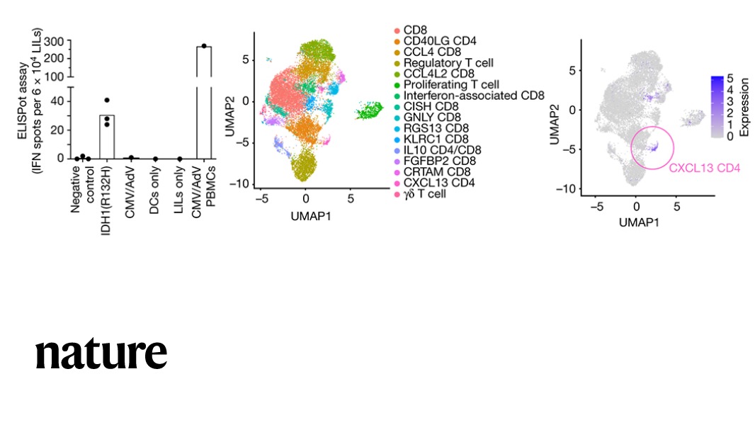 NaturePortfolio's tweet photo. A phase 1 clinical trial provides evidence that a vaccine against mutant IDH1 is safe and produces a T helper immune response in patients with glioma, according to a Nature paper. https://t.co/nJokdHxZ6D https://t.co/hYICHqozGO
