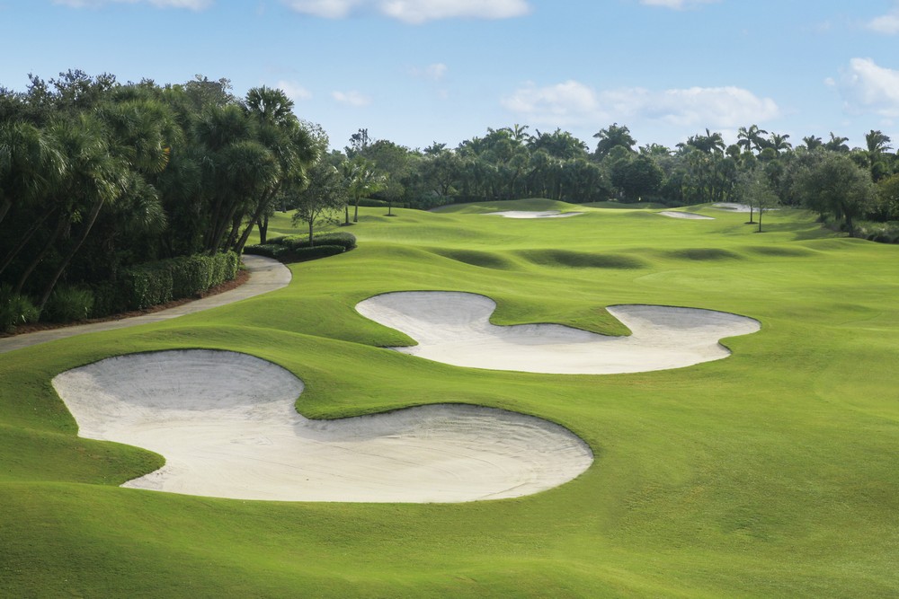 AddisonReserve's tweet image. The combination of beauty and challenge... Trepidation # 8  ⛳