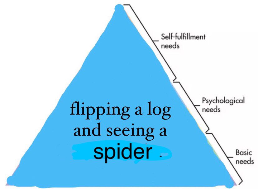 lachologist tweet picture