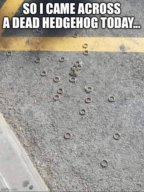 bitstyle99 tweet media