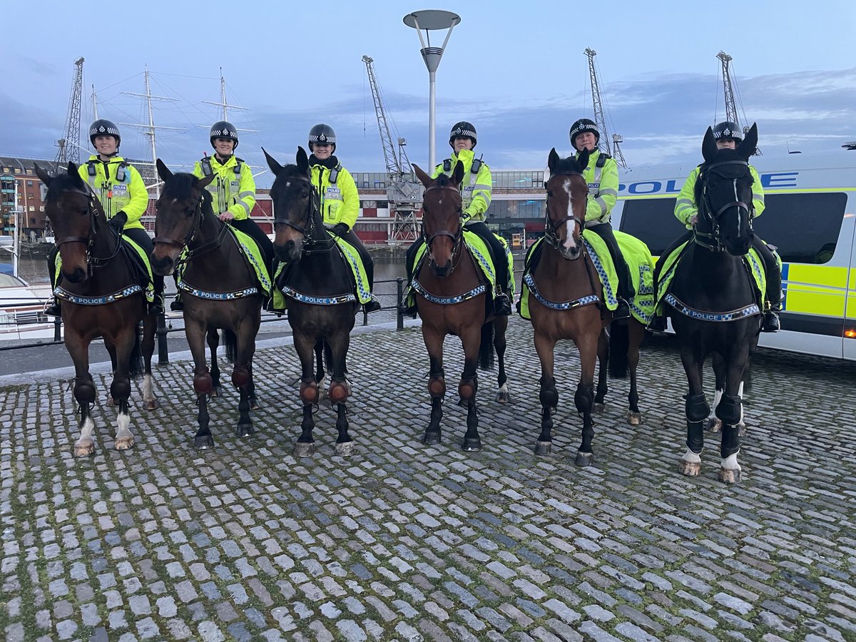 ASPoliceHorses tweet media