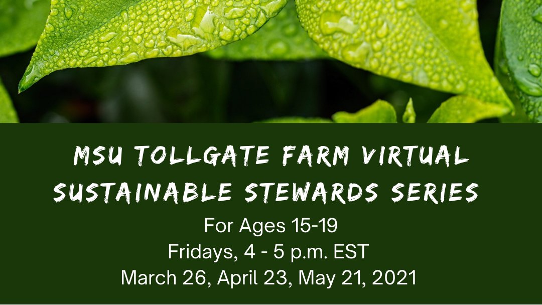 Ages 15-19, student leaders from Sustainable Spartans, Fri, 4-5 pm, for a panel discussion and peer-to-peer discussion to explore stewardship and sustainability and how they impact career s and fields of study. FREE virtual leadership opportunity! events.anr.msu.edu/TollgateVirtua…