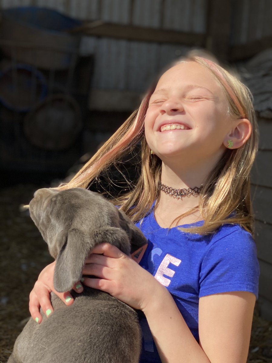 Joe Lynch (@mrlynchplcmusic) on Twitter photo 