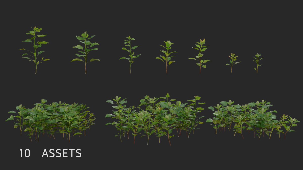CgSuperb's tweet photo. This is a set of realistic grass #models with 3 various combination shapes and 7 varying individual shapes, made by #Blender. 
https://t.co/5SpDAQgZ4B
#3d #3dmodeling #3dmodel #B3D #art #artwork #3dart #3dartist #artist #cg #Environment #plants #grass #cgi https://t.co/Q4R6USnL5j