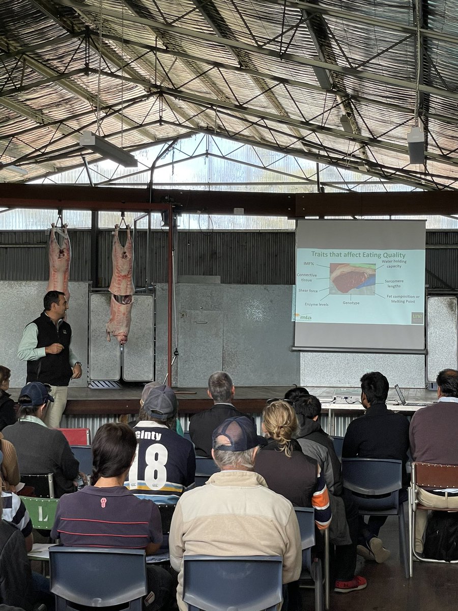 @PeteMcGil spreading the good word about lamb eating quality at the @meatlivestock Resource Flock Field Day @UniNewEngland Smart Farm with @AGBU_GENE @ERS_UNE