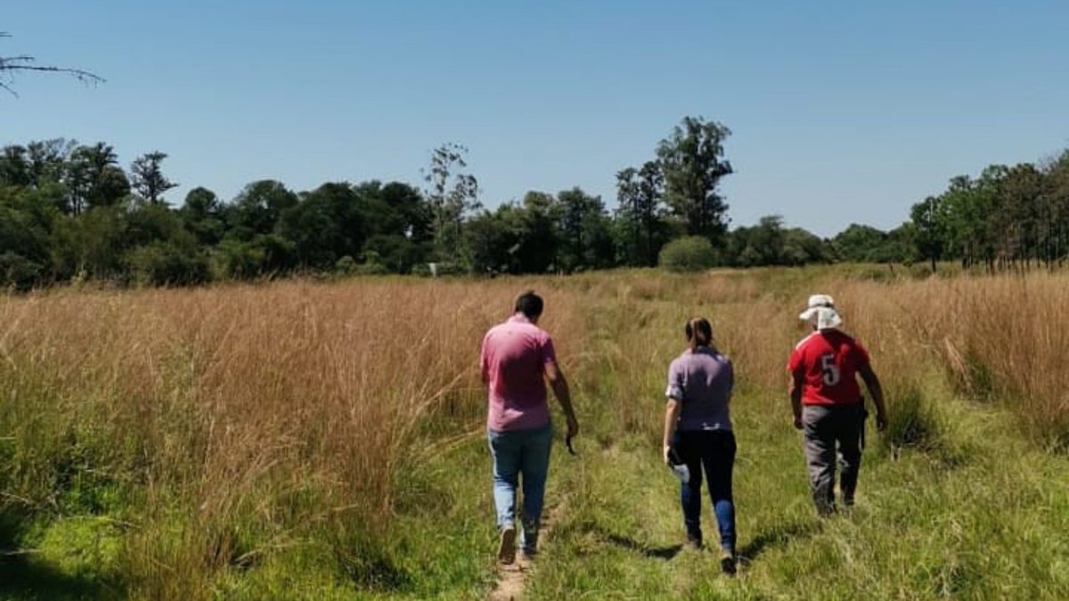 atodopulmonPY's tweet photo. Firmamos una gran alianza con la empresa CCI y como una de las primeras actividades vamos a plantar juntos 1️⃣0️⃣0️⃣0️⃣0️⃣ árboles nativos en la zona de la Reserva de Recursos Manejados del Ybytyruzu. 

Hoy recorrimos por el terreno para planificar la plantación que se realizará 🌳 https://t.co/bJ468QH8On