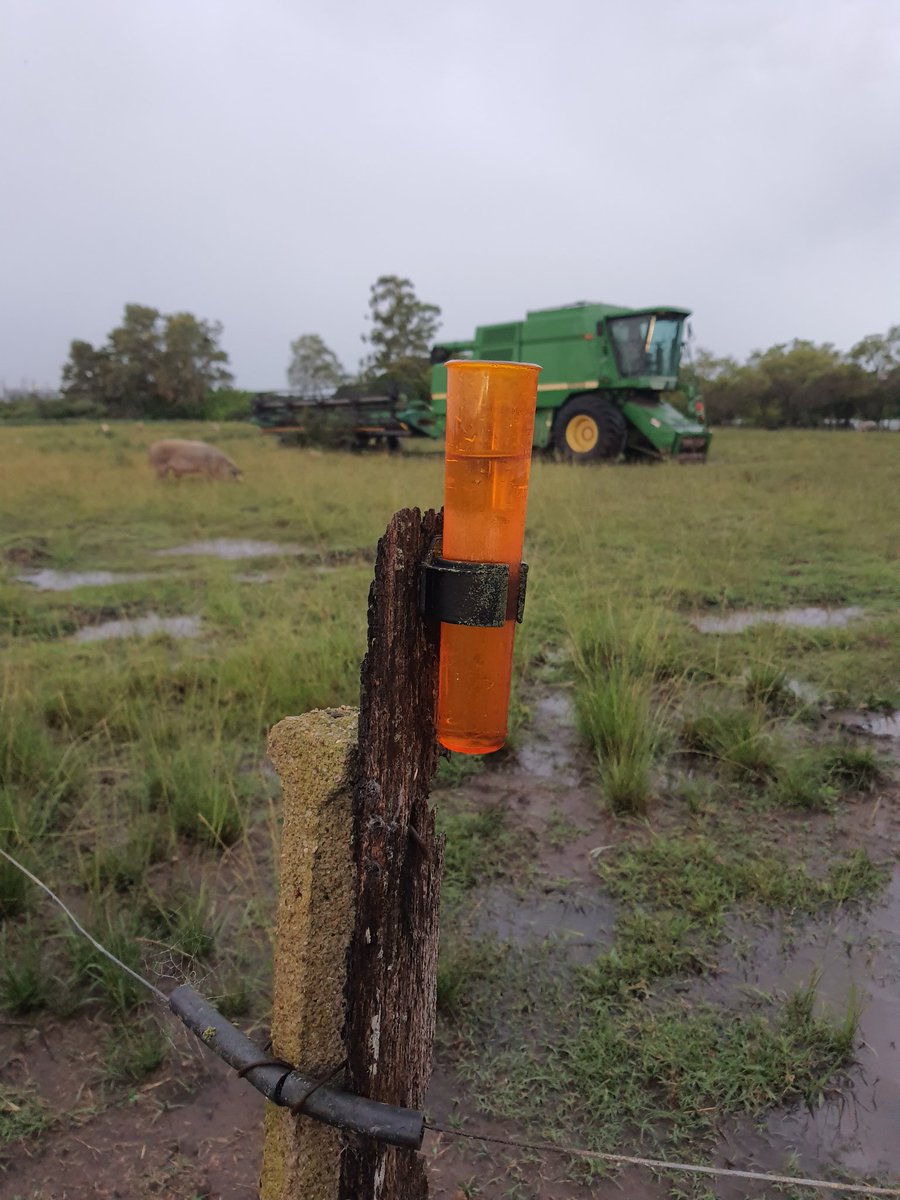 110 Milimetros cuanto hacia que no estabas así.!!!