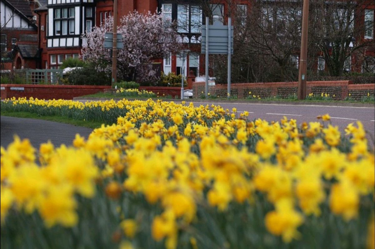 Esther Parkinson tweet media