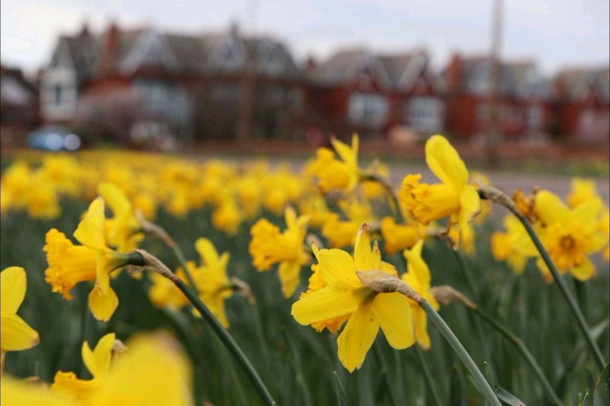 Esther Parkinson tweet media