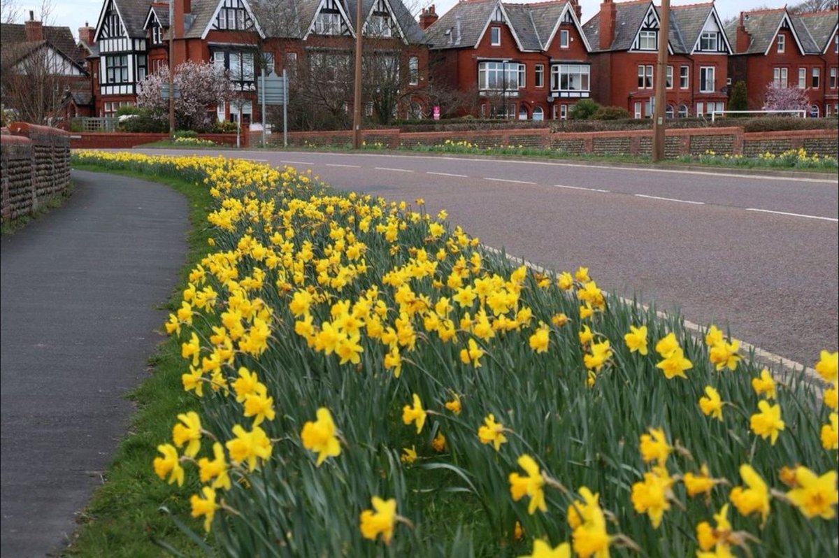 Esther Parkinson tweet media