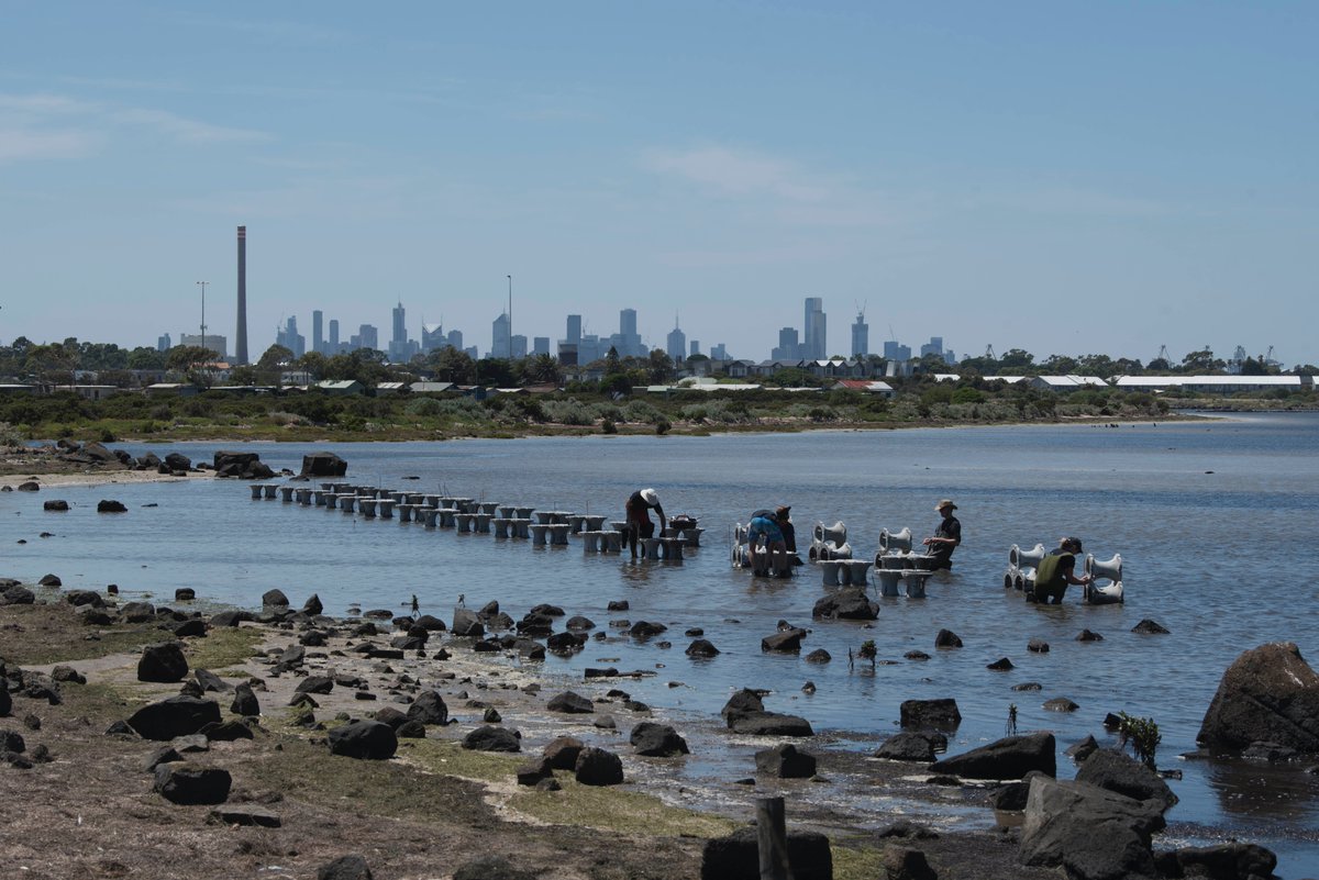 Join us on the 29th of March in Altona for the Hybrid Coastal Defence walking tour as part of Melbourne Design Week 2021 Book at @openhousemelb Supported by @ngvmelbourne Photo by: Chuan Jiang @bubble_jeli