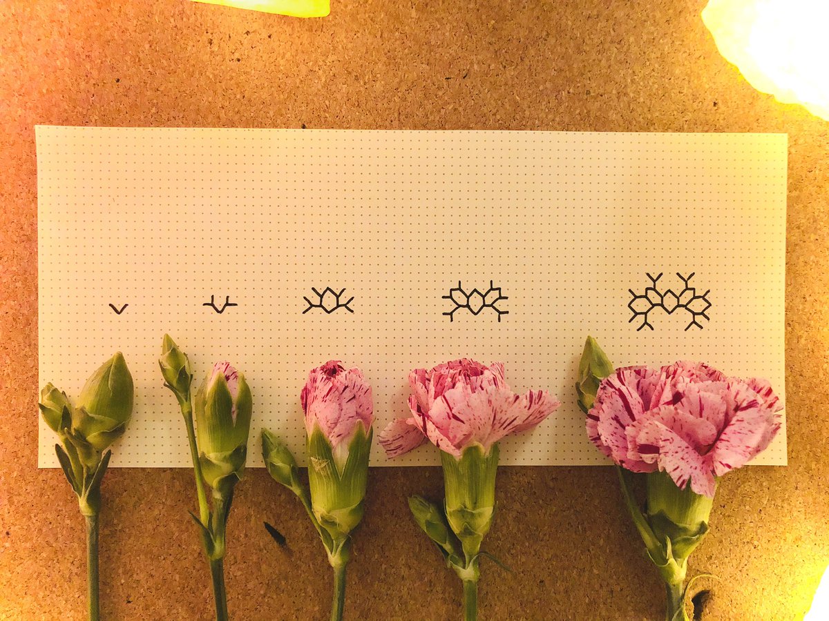 Spring iterations 🌿🌸✨