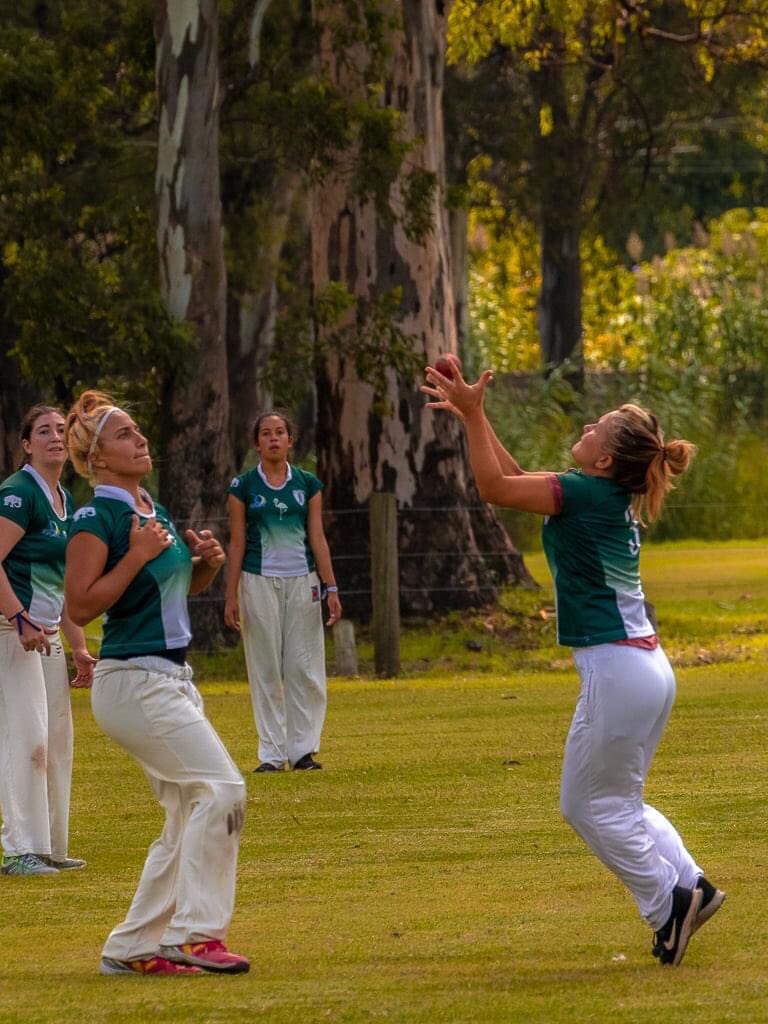 Flamingos Cricket Argentina tweet media