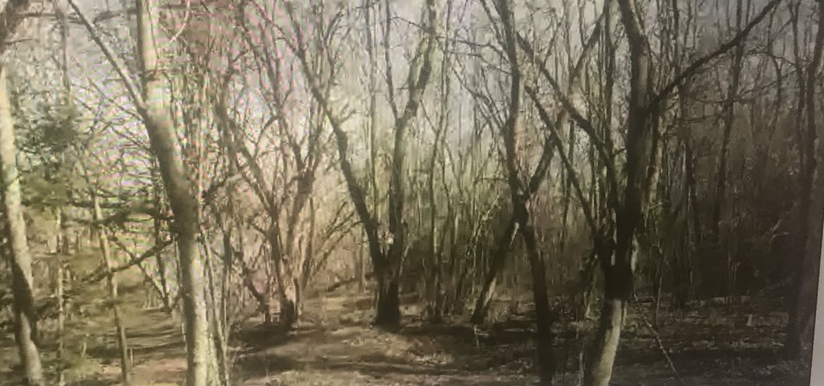 Mrs. DeWachter tweet media