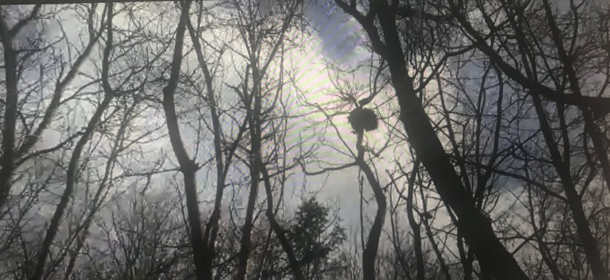 Mrs. DeWachter tweet media