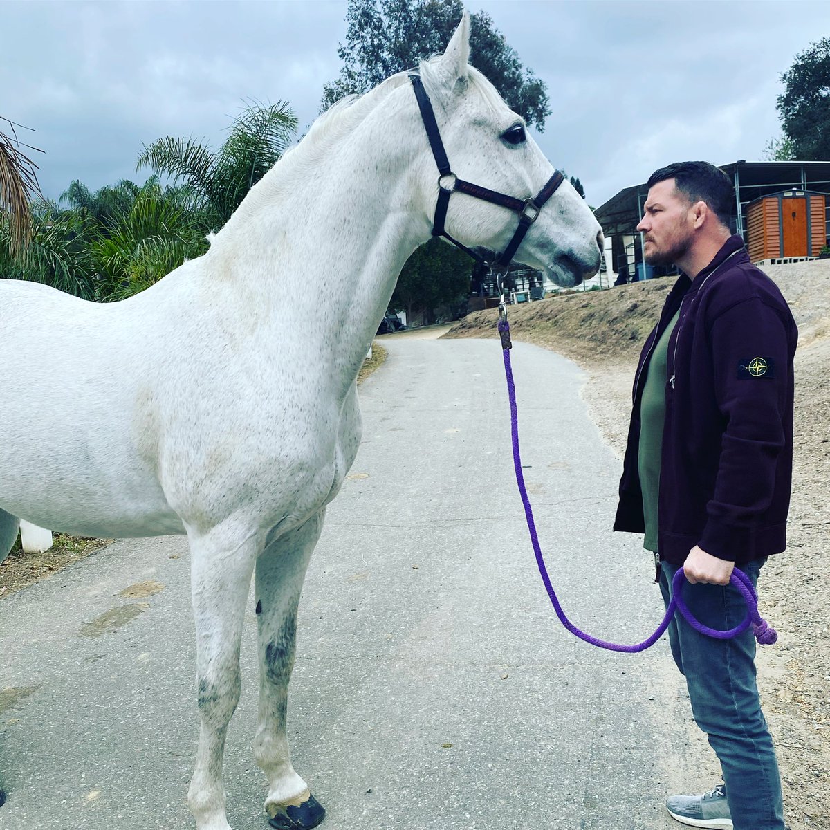 bisping's tweet photo. Don’t even think about it pal. https://t.co/E0j2rv64d8