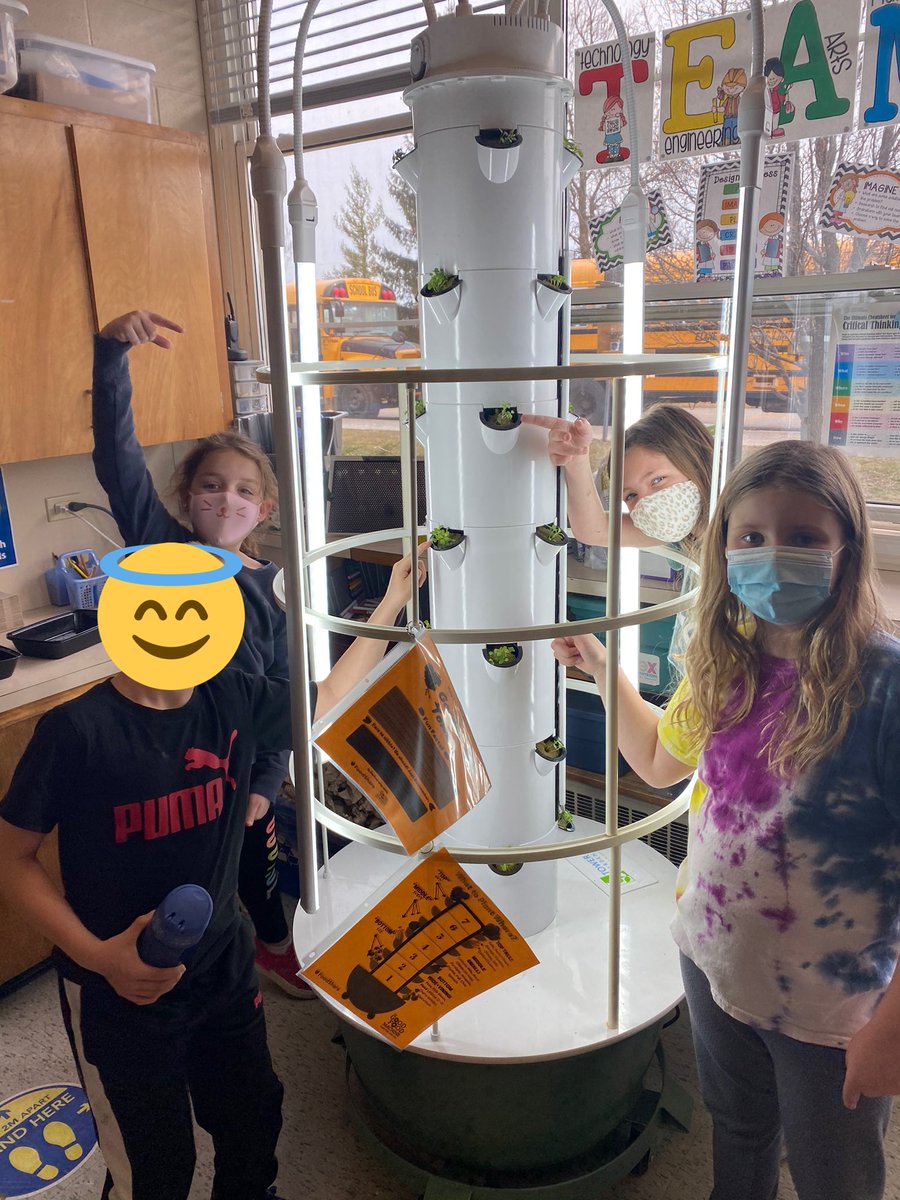 Our green 🥬 lettuce plants have been placed into the hydroponics tower. We checked the water levels and PH. ⏲ We set the timers for the 💡 lights and 💦 water pump and now we watch them grow! <a href="/SDStampeders/">South Dorchester PS</a> #GrowOurFood #TVDSB #Grade3plants