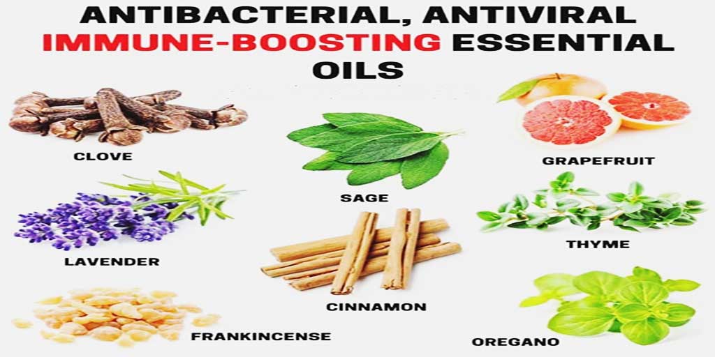 MolikSarah's tweet photo. #Antibacterial Antiviral #immune #Boosting Essential Oils
#immuneboost #immunesystem #healthybreakfast #healthyliving #heartbroken #healthycooking #dietfood
#dietplan #bodybuilding #bodypositive #bodypoweruk #superfood #superfruits #veganfood #vegetarian #vegetables https://t.co/iQv1kRgZ0M