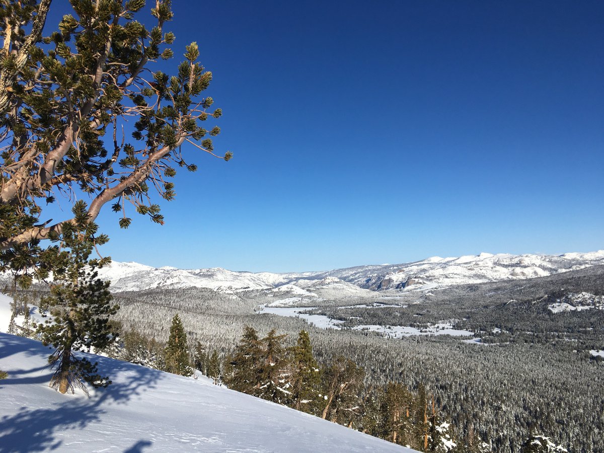 YosemiteNPS's tweet photo. Our rangers in Tuolumne Meadows saw plenty of new snow and winter conditions this week. This will be good news for our snowpack even though it is still trending well below average. 
Learn more and hear about one of their lovely wild neighbors. https://t.co/nP31FFttFm https://t.co/Z6QBVcjhDb