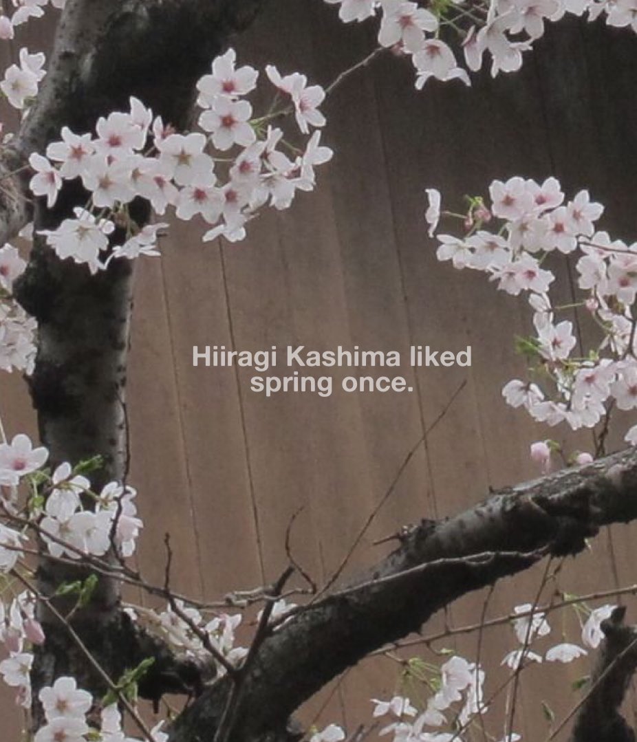 [fic] breaking and rebuilding. 2275w. shizuragi. grief/mourning. hurt/comfort. tending to wounds. written for <a href="/GivenZine/">Given Zine: Leftovers Sale🌸</a>.

hiiragi’s split his knuckles, and it’s up to shizu to patch him up—and talk him down. 

archiveofourown.org/works/30267867