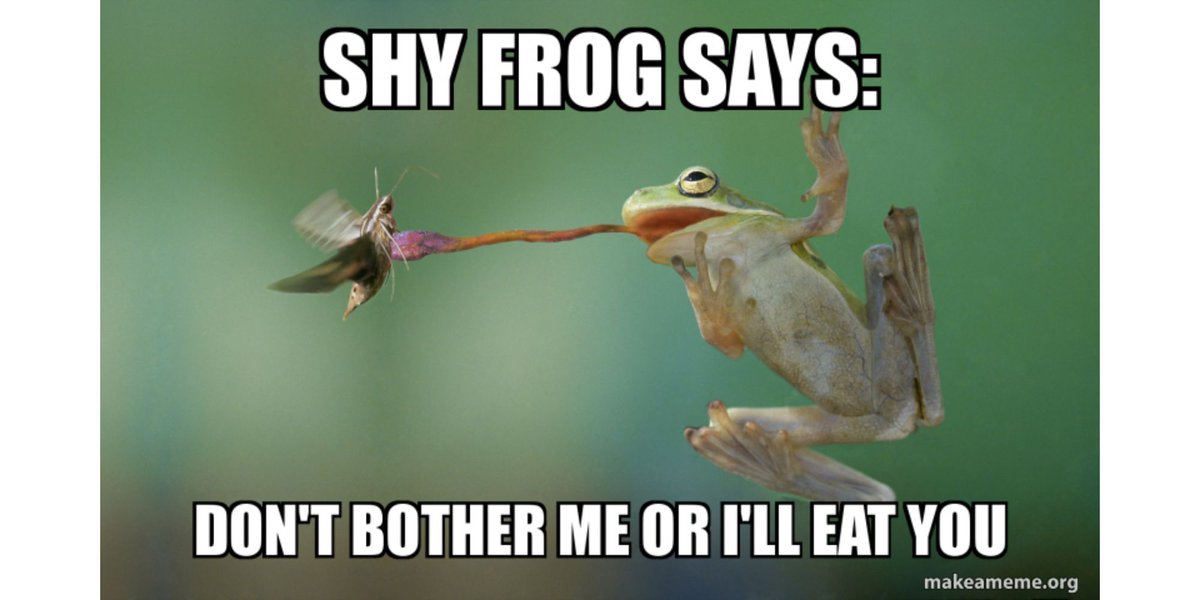 HelloSocial_'s tweet photo. #shyfrog #shymeme #memes https://t.co/ksg0Dsz4a2