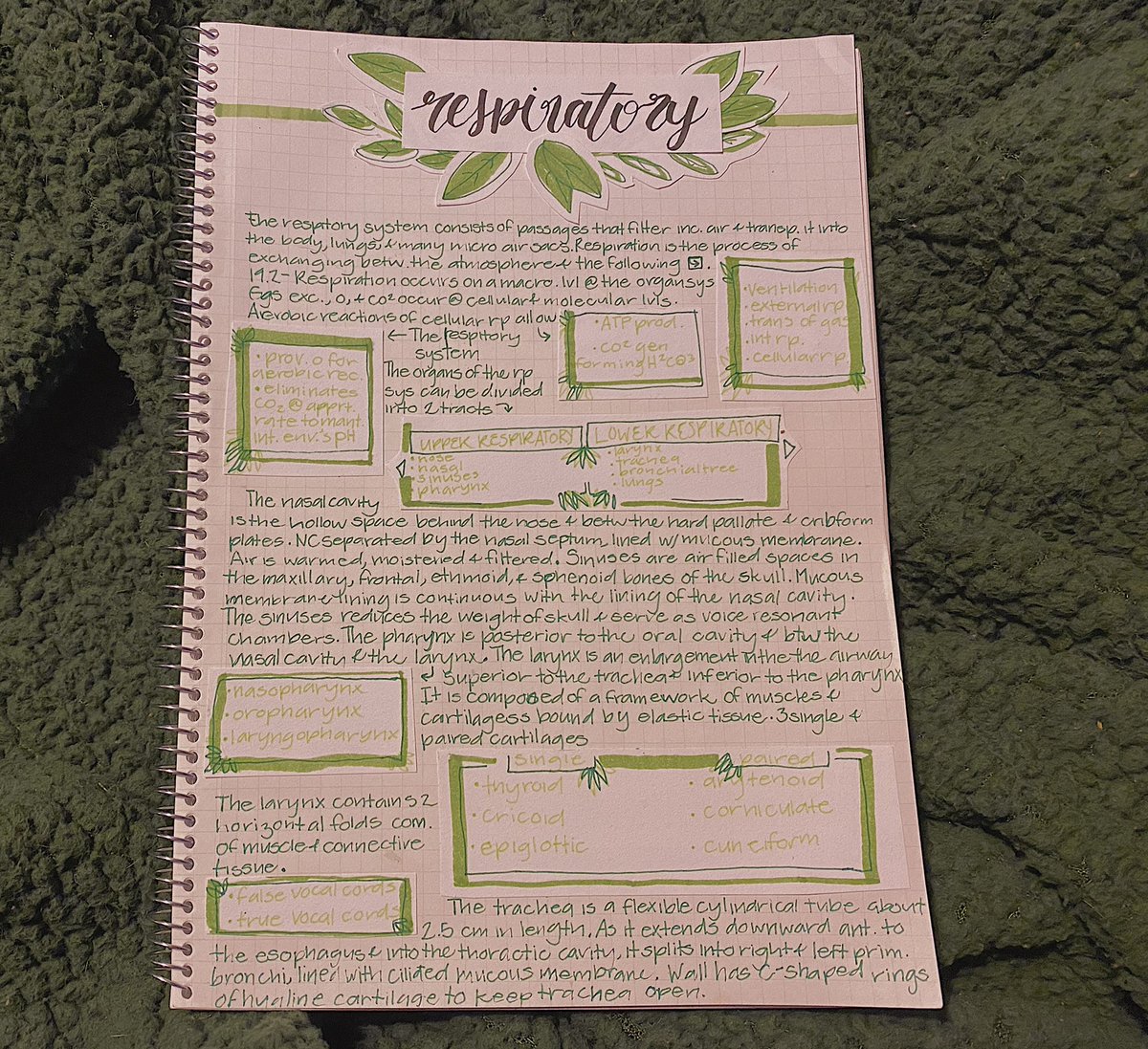 studymozart's tweet photo. Green-plant theme 🌱ʅ（◞‿◟）ʃ🌿 respiratory notes! 

Stationery used★彡
• Sharpie S-Note Creative Marker (green)
• Dark green Zebra Sarasa clip in 0.5
• Apple Green Pilot Juice in 0.5
• Tombow Fudenosuke hard tip in black
🪴🌸(*´∇｀*) https://t.co/qbgKrJvKFy