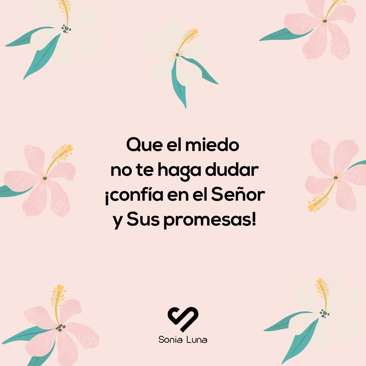 Pastora Sonia Luna tweet media