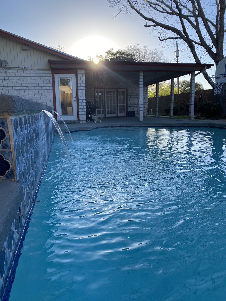 Panchitoleal10's tweet photo. Some pics from the backyard this evening featuring scooter 🐶. Also my fav bbq sandwich ever #TXSTMultimedia https://t.co/bI9avyPMz6