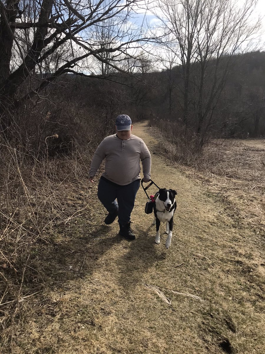 POMCmomma's tweet image. Morning Walkies #springtimeinvermont