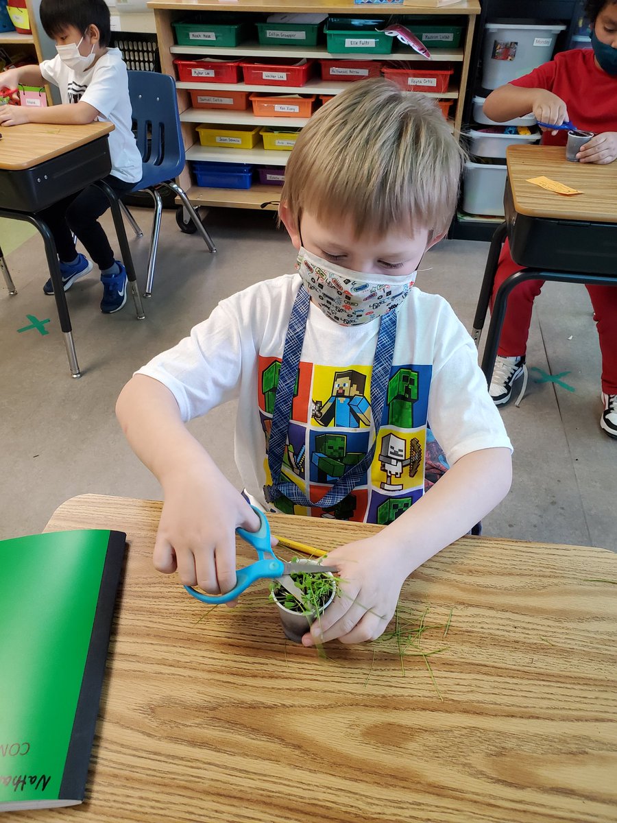 molpatterson33's tweet photo. How does your grass grow?? We have been having a blast planting, watering and mowing our little personal lawns! 🌱 #gotrhpride @RH_Elementary https://t.co/OHo0xNhjGo