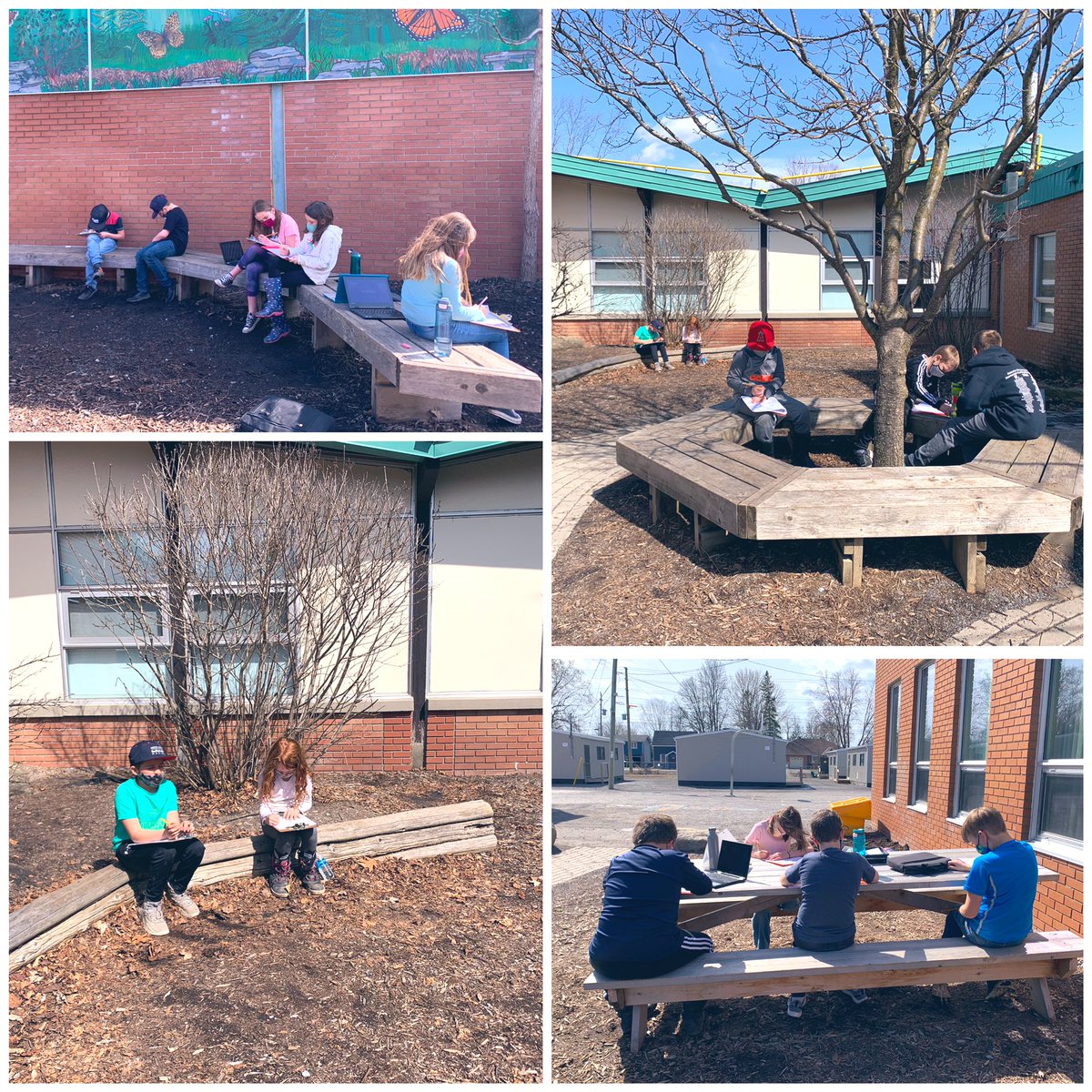 Ms_DiNard0's tweet photo. Enjoying the @StPhilipOCSB Butterfly Garden on this beautiful spring afternoon as we work on our persuasive writing rough drafts!βοΈπ¦π
β’
@OttCatholicSB #ocsbBeCommunity #ocsbLanguageArts #ocsbOutdoors #PersuasiveWriting #Spring #Ocsb #Grade4 https://t.co/Cxvsg7KRS1