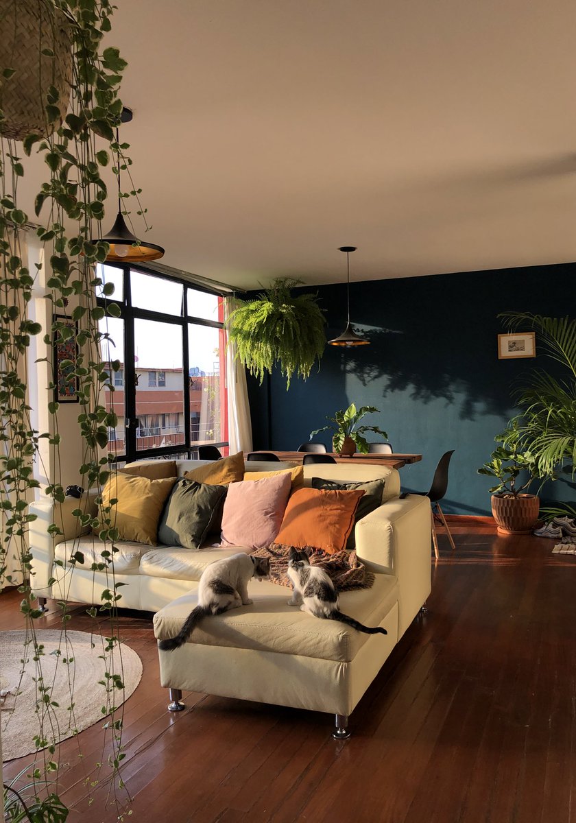 LaGabrielaNava's tweet photo. Mi hogar es mágico ✨🌿 https://t.co/xT0mDHl3pS