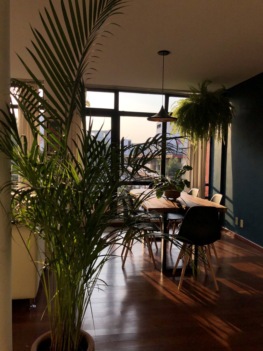 LaGabrielaNava's tweet photo. Mi hogar es mágico ✨🌿 https://t.co/xT0mDHl3pS