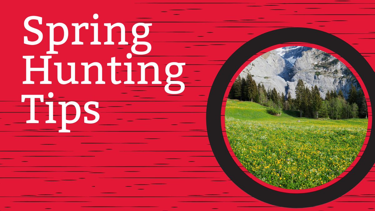 dcsafariclub's tweet photo. Don't underrate spring. Load up and head out on one of these three adventures to break in your gear.

1. Bear Hunt
2. Turkey Hunt
3. Shed Hunting

For more on how to have fun this spring👉👉https://t.co/nfow5F6ENr 

 #WildlifeConservation #FirstForWildlife #FirstForHunters https://t.co/vCgm4o1lo6