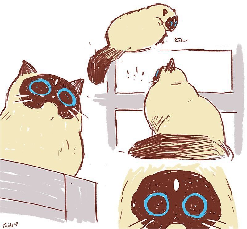 #throwbackthursday to Cookie sketches based on the real life fluffball herself! 