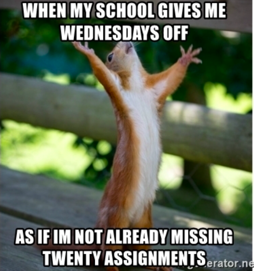 TimLuvsDaLakers's tweet photo. My school trying to help their students but realizing we're all struggling with this online stuff together!! #MCO335 #WednesdayWoes https://t.co/VynmL5ppwT