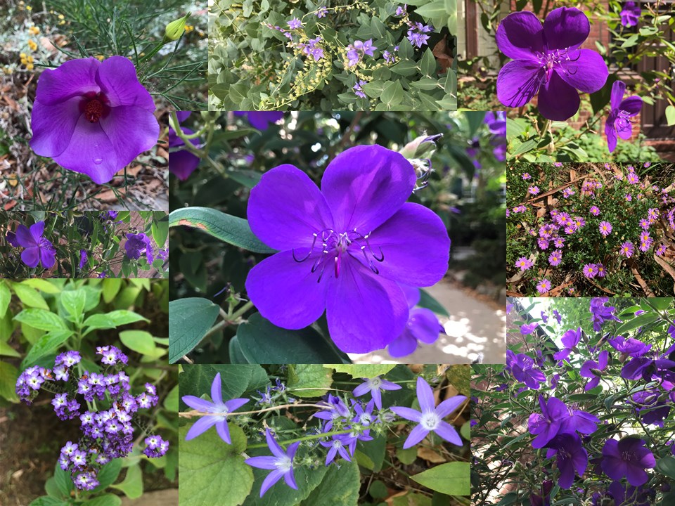 Please RT
We need your help again to save the @UniMelb grounds!
We've had 1700+ signatures &amp; 1100+ testimonials but UniMelb are pushing ahead with redundancies and outsourcing of Grounds Team. 
Sign the petition - rally on 14 April (details forthcoming) 
tinyurl.com/savethegrounds