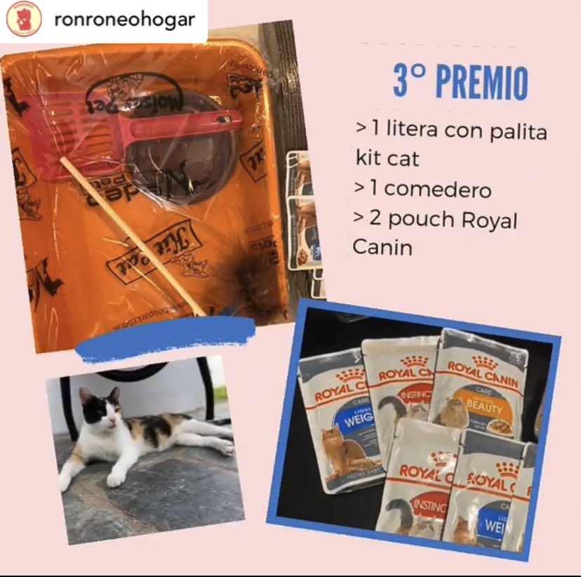 ¿Nos ayudan con la difusión de esta rifa solidaria? ¡Tenemos muchos gatitos para ayudar! 🙏🏻💜 Entrá en el perfil de @ronroneohogar en Instagram y enterate de lo que hacemos por ellos. Si estás en el exterior, también aceptamos Paypal. 😼 ¡Gracias por sumarte!