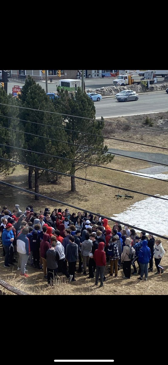 Alex Bill tweet media