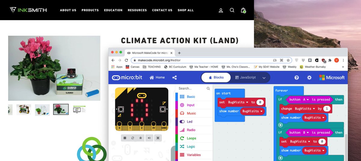 Vicky Ma tweet media