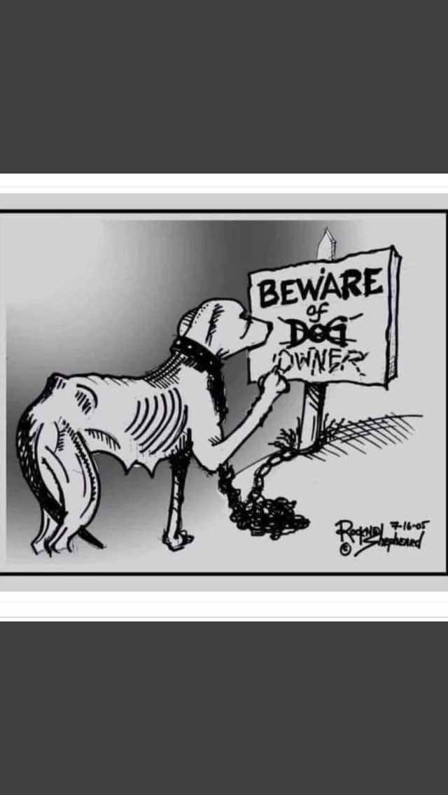 agent0907's tweet image. that’s true