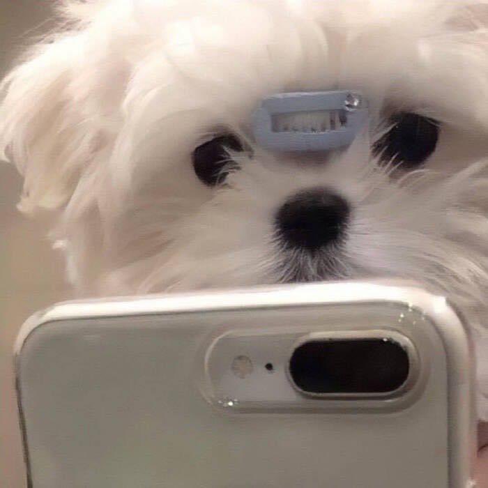 น้องน้วย tweet media