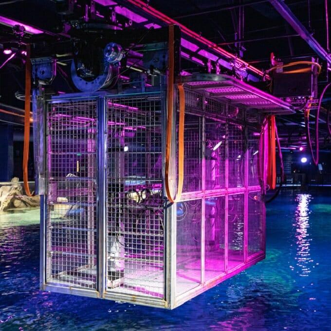 CLopezATL's tweet image. I participated in Georgia Aquarium&apos;s Shark Cage Dive Experience, &amp;amp; it was absolutely unforgettable! The staff was fantastic, the training was thorough and the facility was pristine. #Atlanta #Meetingprofs #VIPExperience georgiaaquarium.org/experience/sha…