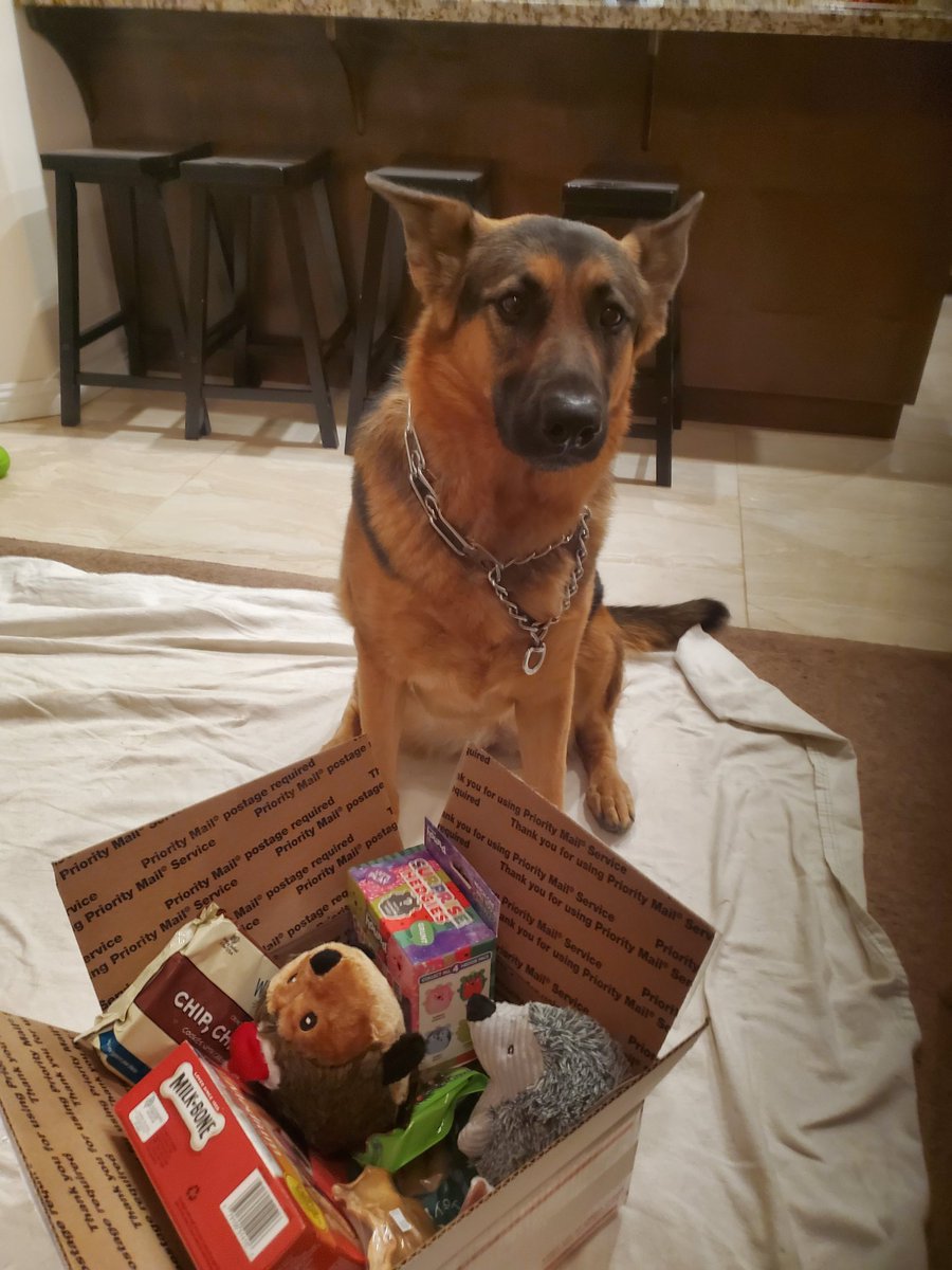 der_freya's tweet photo. So I got dis box of chripmas goodies and whatnot from my fren @mustang_brit couple months ago and I jus now saying  "Fangkyu!"

But I been busy so....i sorry. 

And I already killed the Grey hedgamahog. https://t.co/oDTpOFf6Tp
