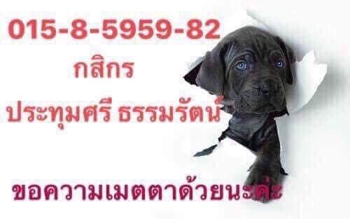 หมอแจ tweet media