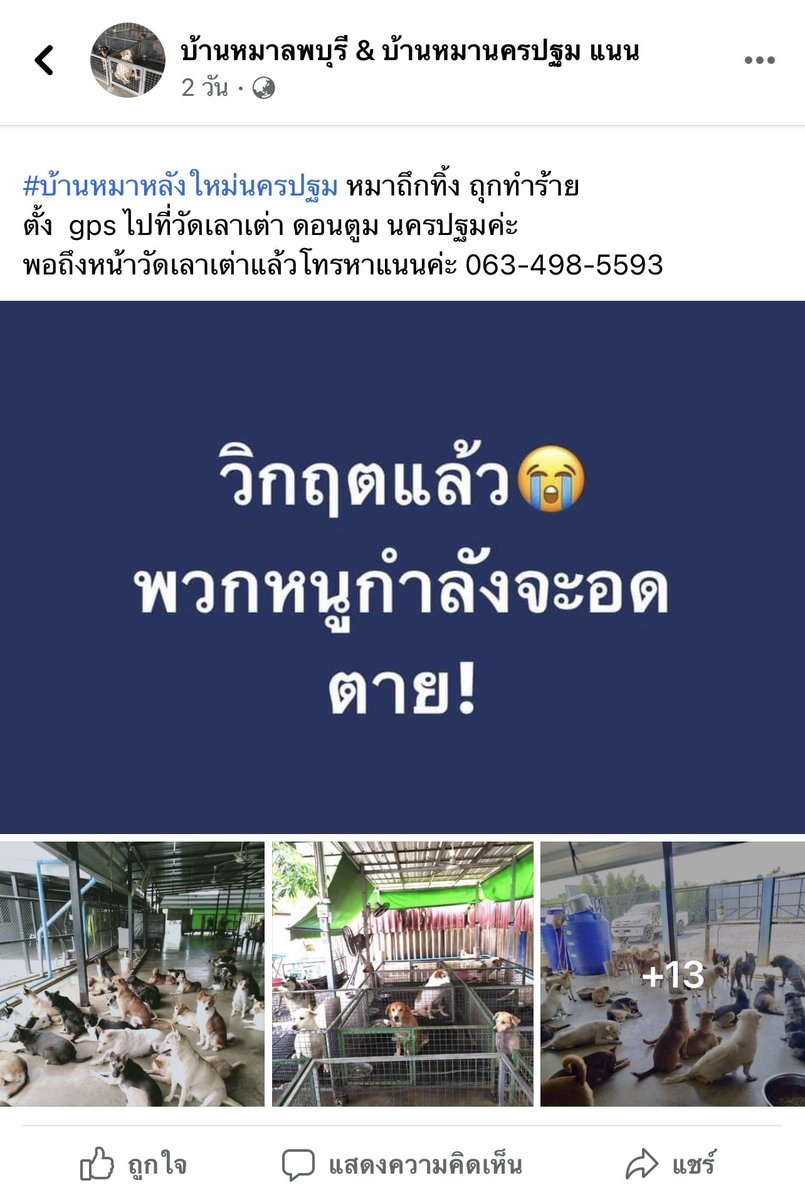 หมอแจ tweet media