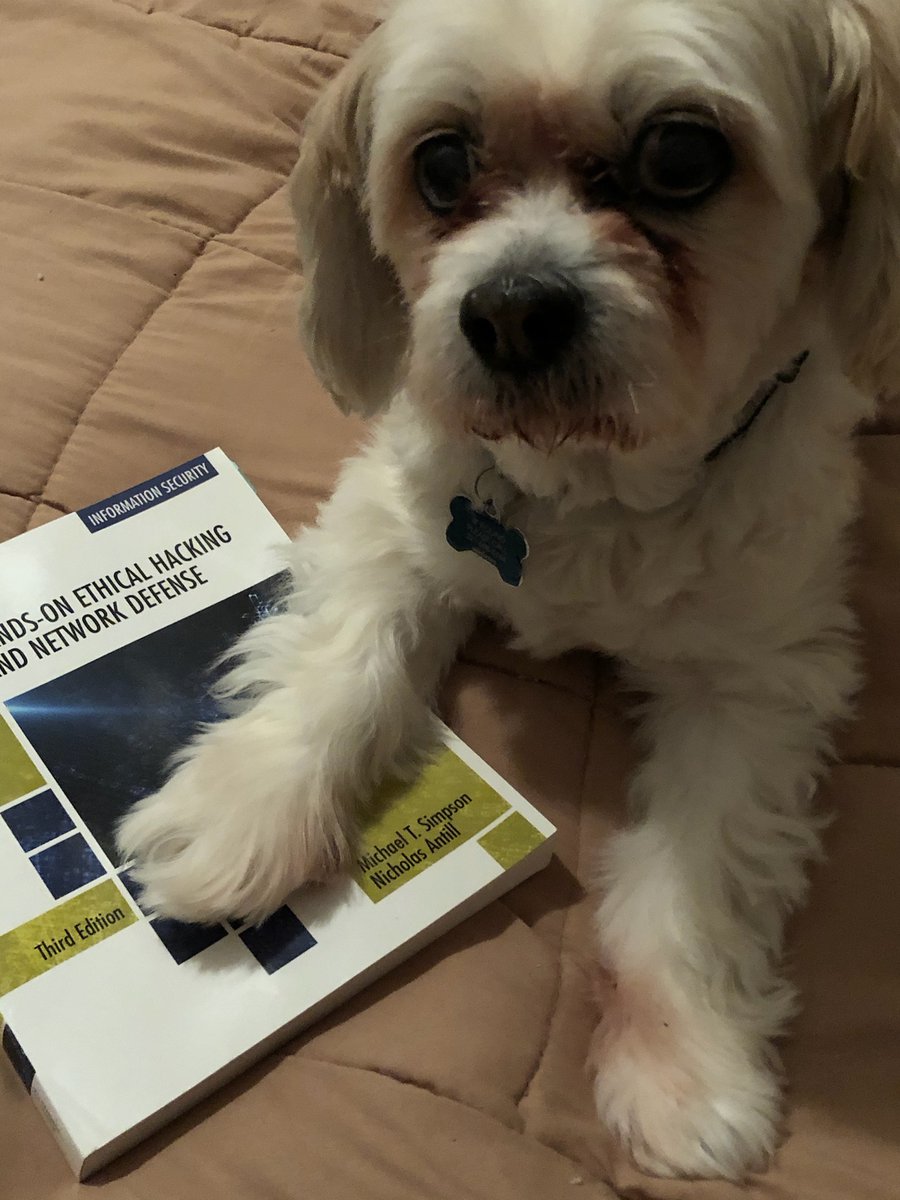 theHackDoor's tweet photo. LilySecurityDog wants to participate! https://t.co/2DFsV9gu83