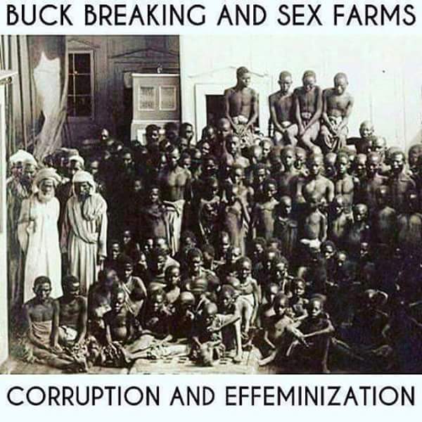 Graphic content"Secretly, slave owners would impregnate enslaved women and when the child was born and grew to an age where he could work on the fields, they would take the “very same children (of their) own blood and make slaves out of them,” https://rastafari.tv/sex-farms-slavery-effimization-black-men/